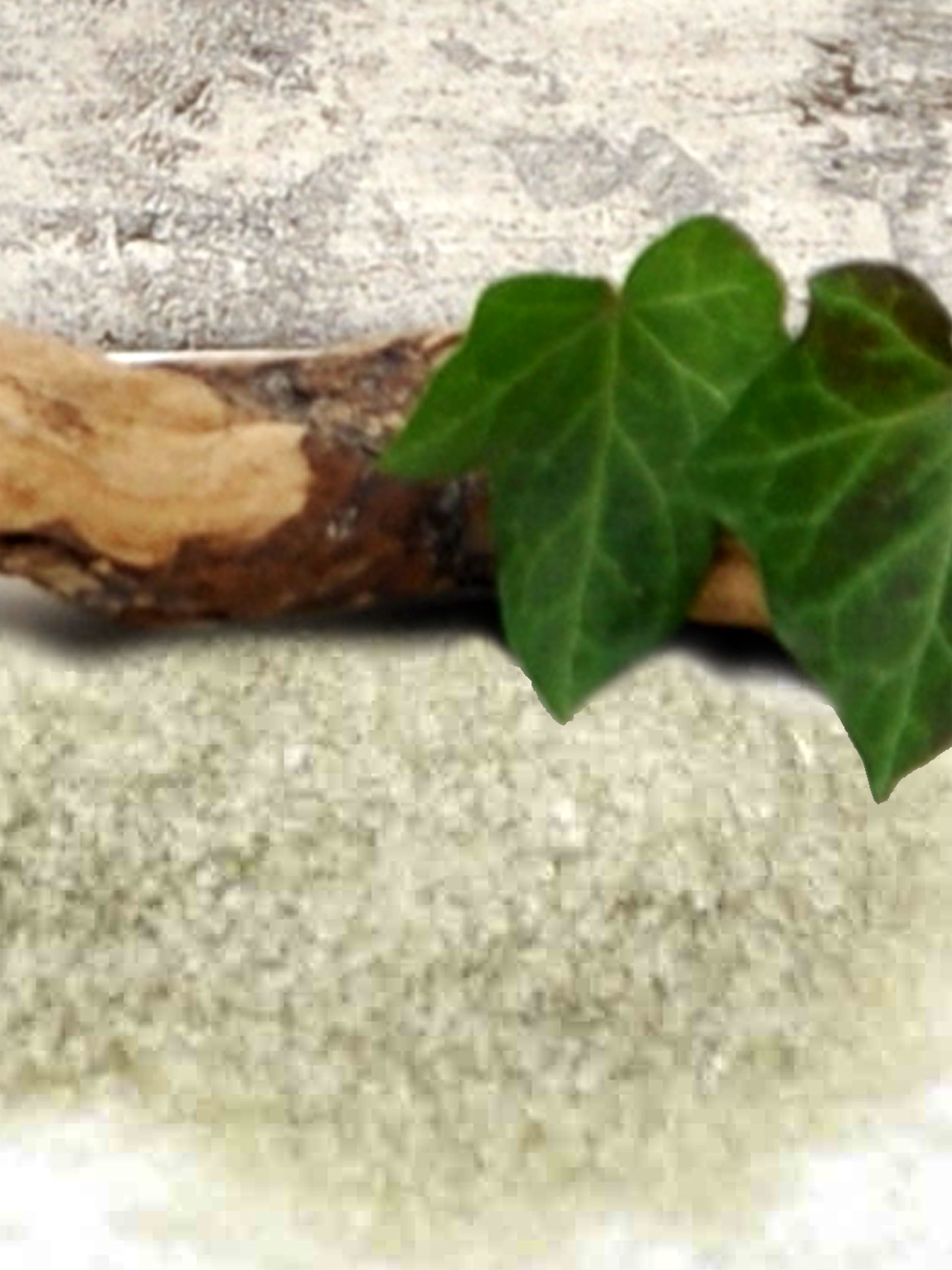 Bio Geschenkset Salzset 8 Salze