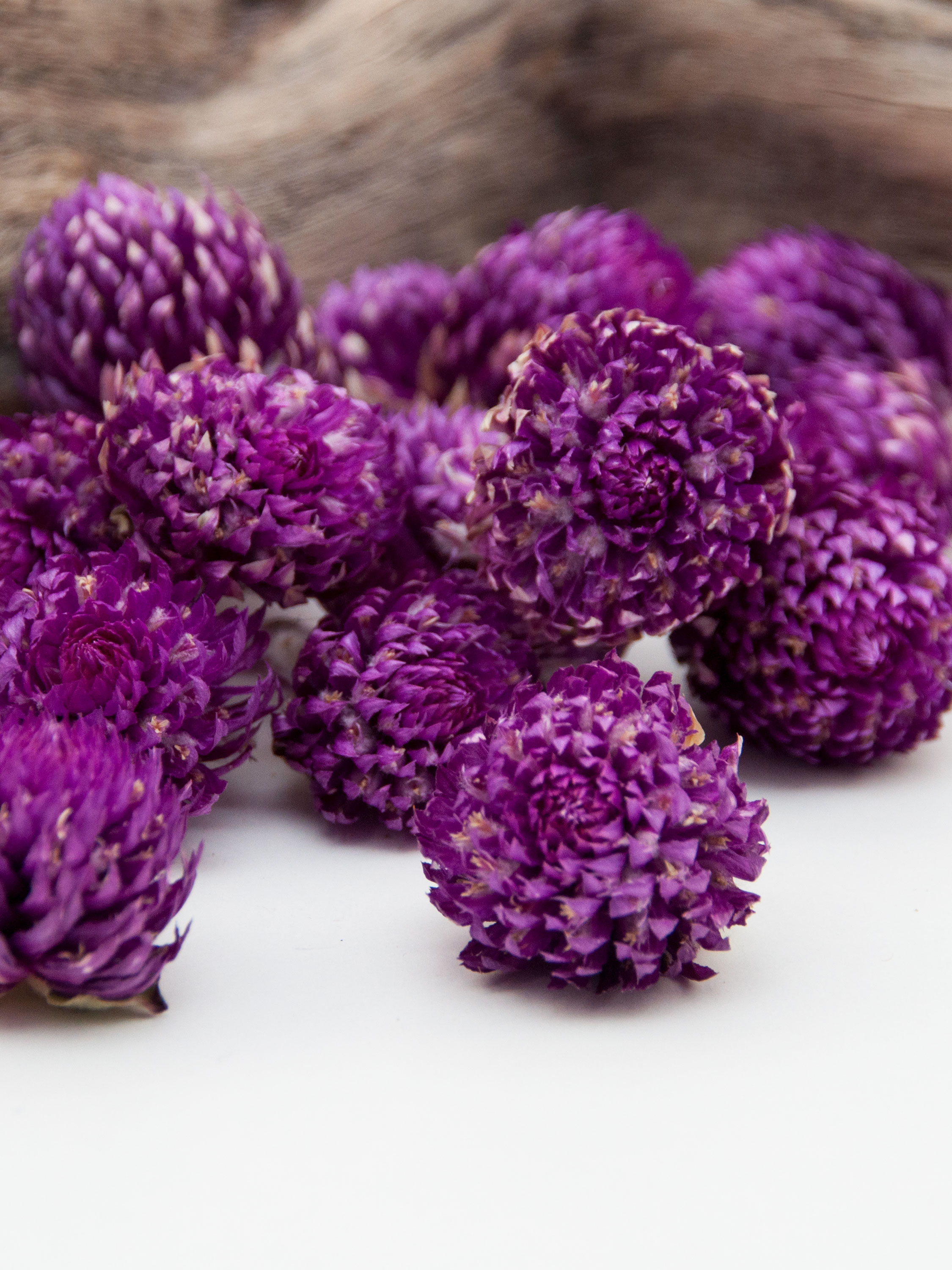 Bio Kugelamaranth - ganze getrocknete Blüten